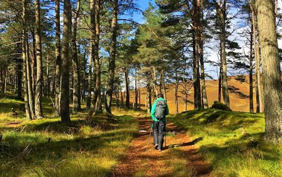 Wandern in Banvie Burn bei Blair Castle