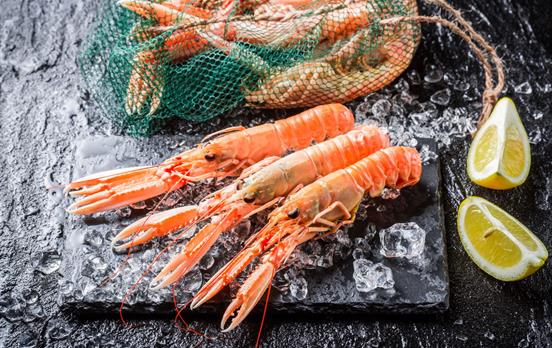 Freshly-caught seafood