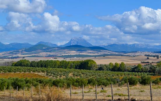 View along the countryside