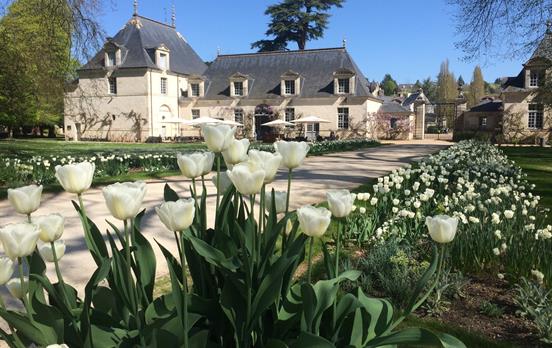The beautiful chateau and tulips in Azay le Rideau