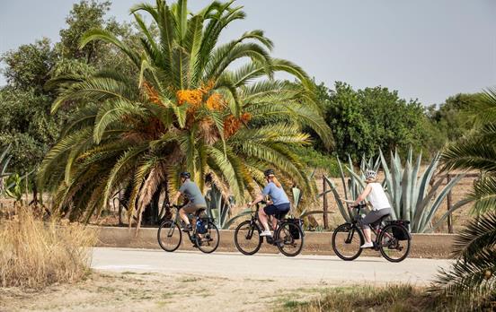 Cycle through beautiful scenery