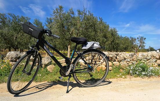 Your typical rental bike