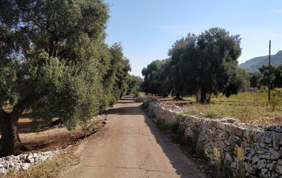 The backroads of Puglia