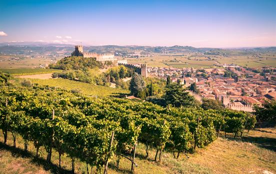 Vineyards surrounding Soave