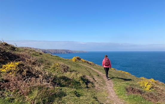 Küstenwanderung South West Coast Path
