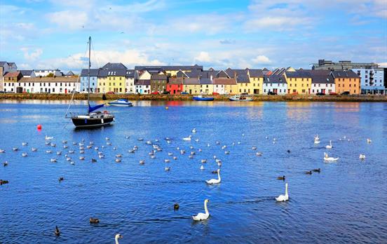 Claddagh