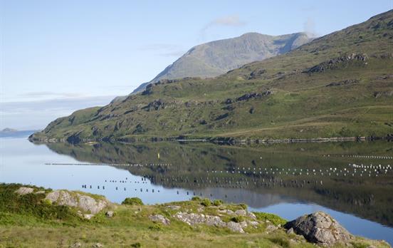 Killary Fjord, Leenane