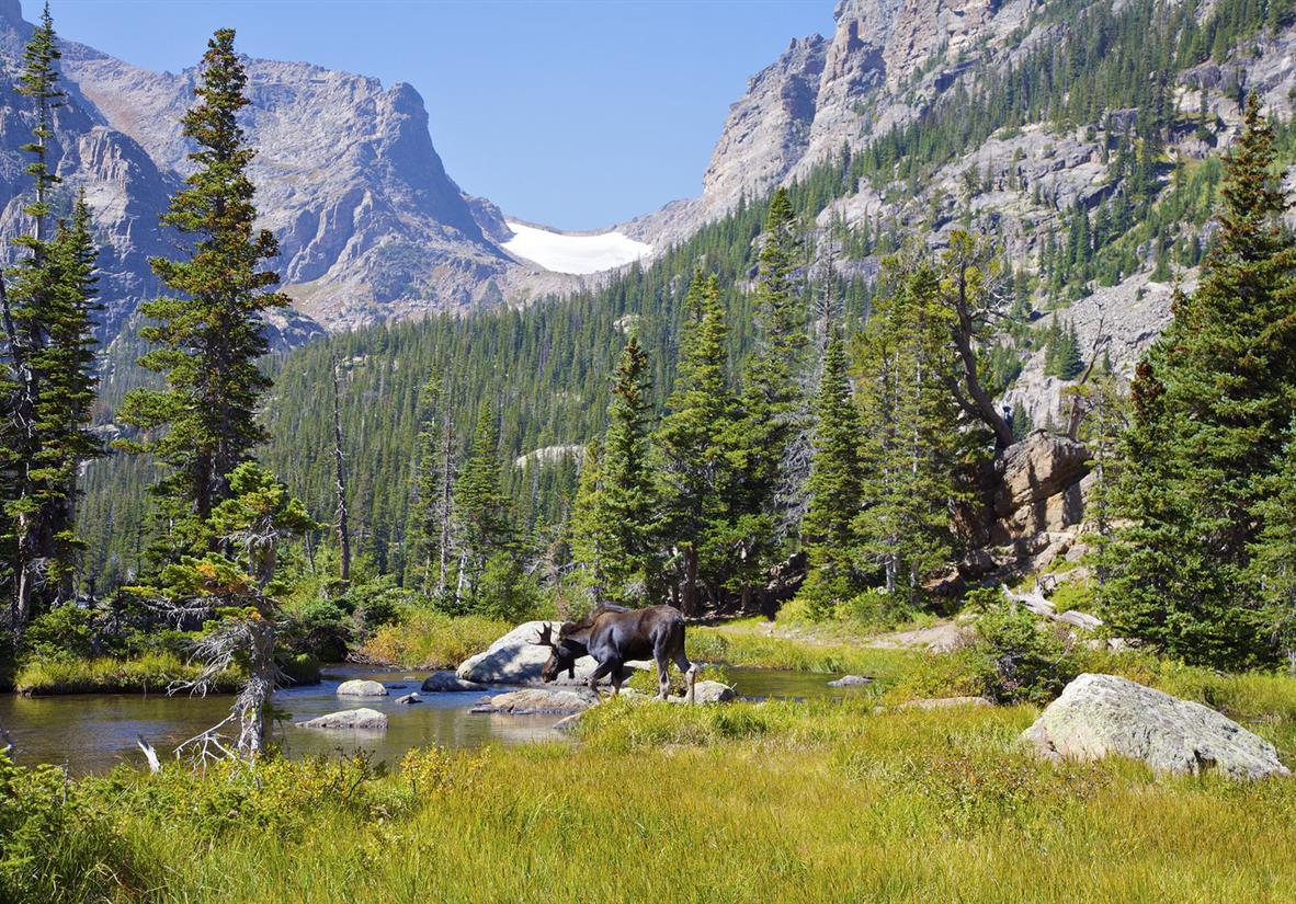 Rocky Mountain Hiking Trails Colorado Hiking Tour: Rocky Mountain National Park | Macs Adventure