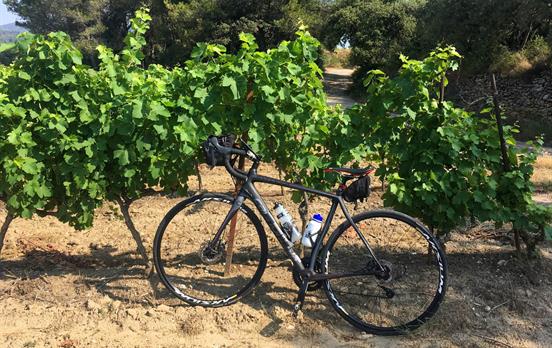 Opt for a road bike upgrade if you prefer
