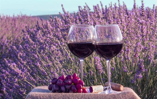 Taste Provence's fine wines in the evening
