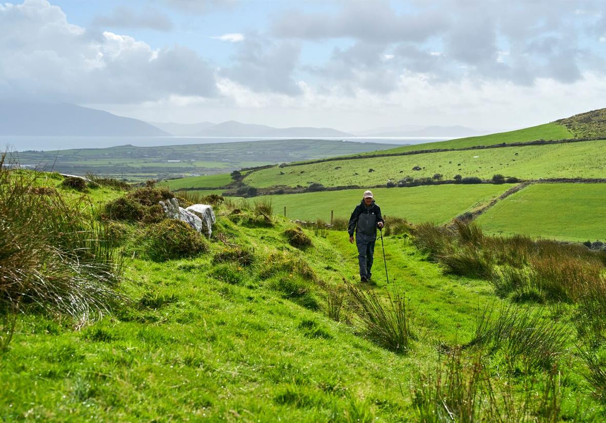 Hiking through the hills of the Dingle Way
