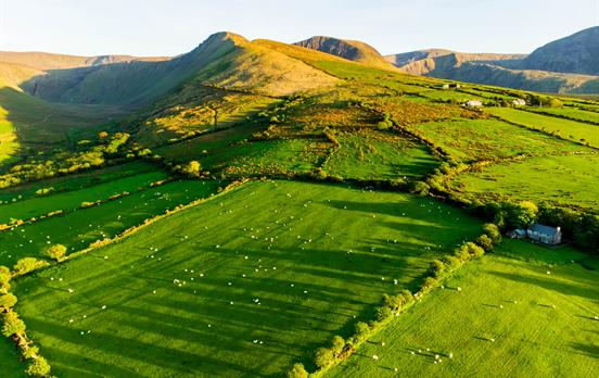 Green and rolling farmland
