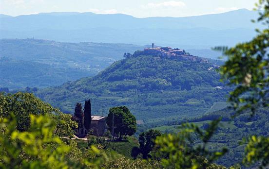 The hilltop village of Motovun
