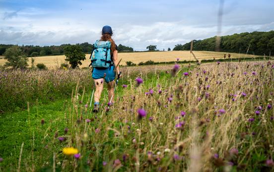 Easy going country trails