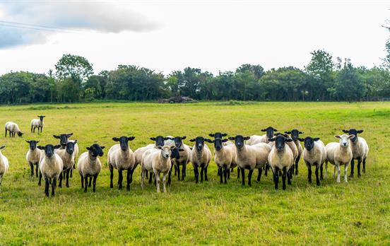 Meet the locals along the way