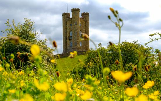 Broadway tower hidden behind local fauna