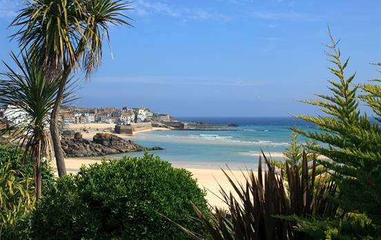 Durch mildes Klima wachsen hier tropische Pflanzen