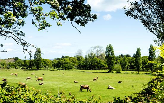Pretty countryside throughout