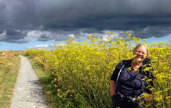 Go self-guided on the Channel Islands