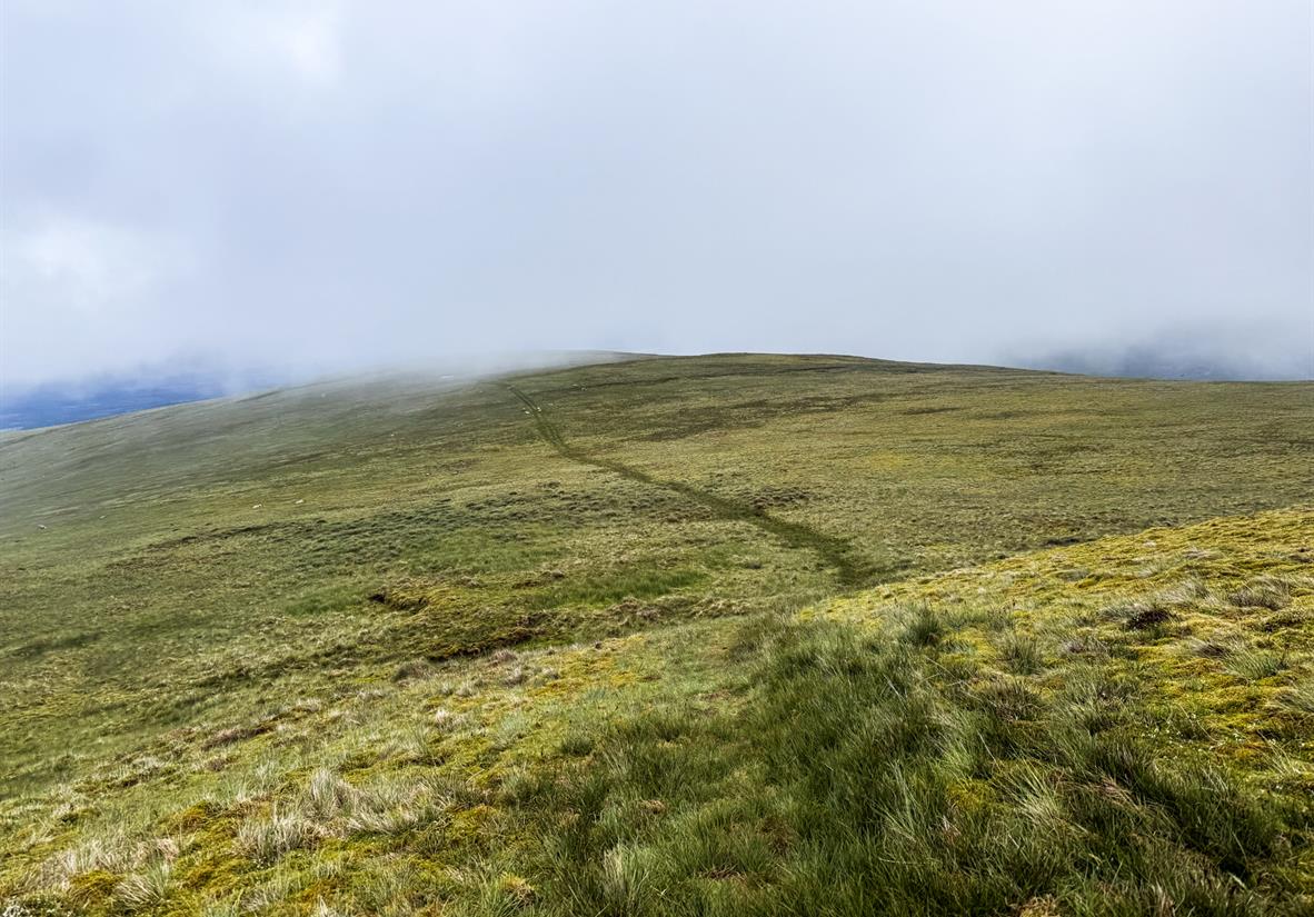 Trail path heading into the clouds