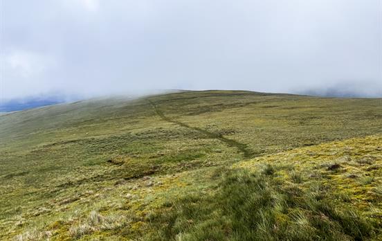 Trail path heading into the clouds