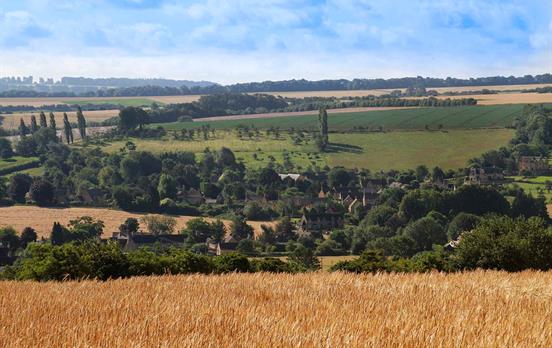 Rolling hills in the English countryside