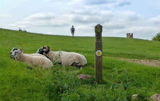 Waymarking on the Cotswold Way