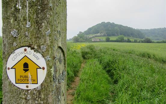 Clear signs keep you on track