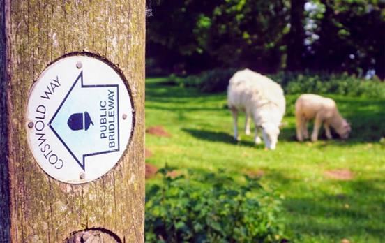 Some handy signage keeps you on track