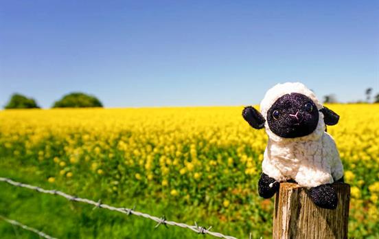 Have fun on your adventure on the Cotswolds!