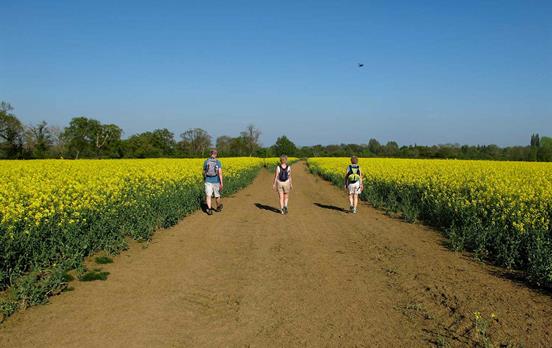 The Cotswold Trail is suited to groups