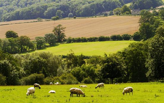 Well kept farmer fields around Winchcombe