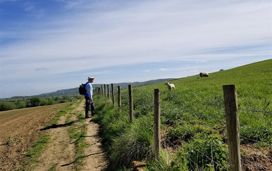 A pensive moment on the Cotswold Way