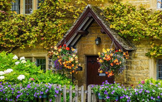 Honey thatched cottages dressed in vibrant flowers