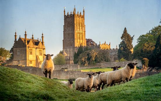 Meet the "locals" in the Cotswolds