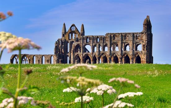 Find Whitby Abbey remains high above the town