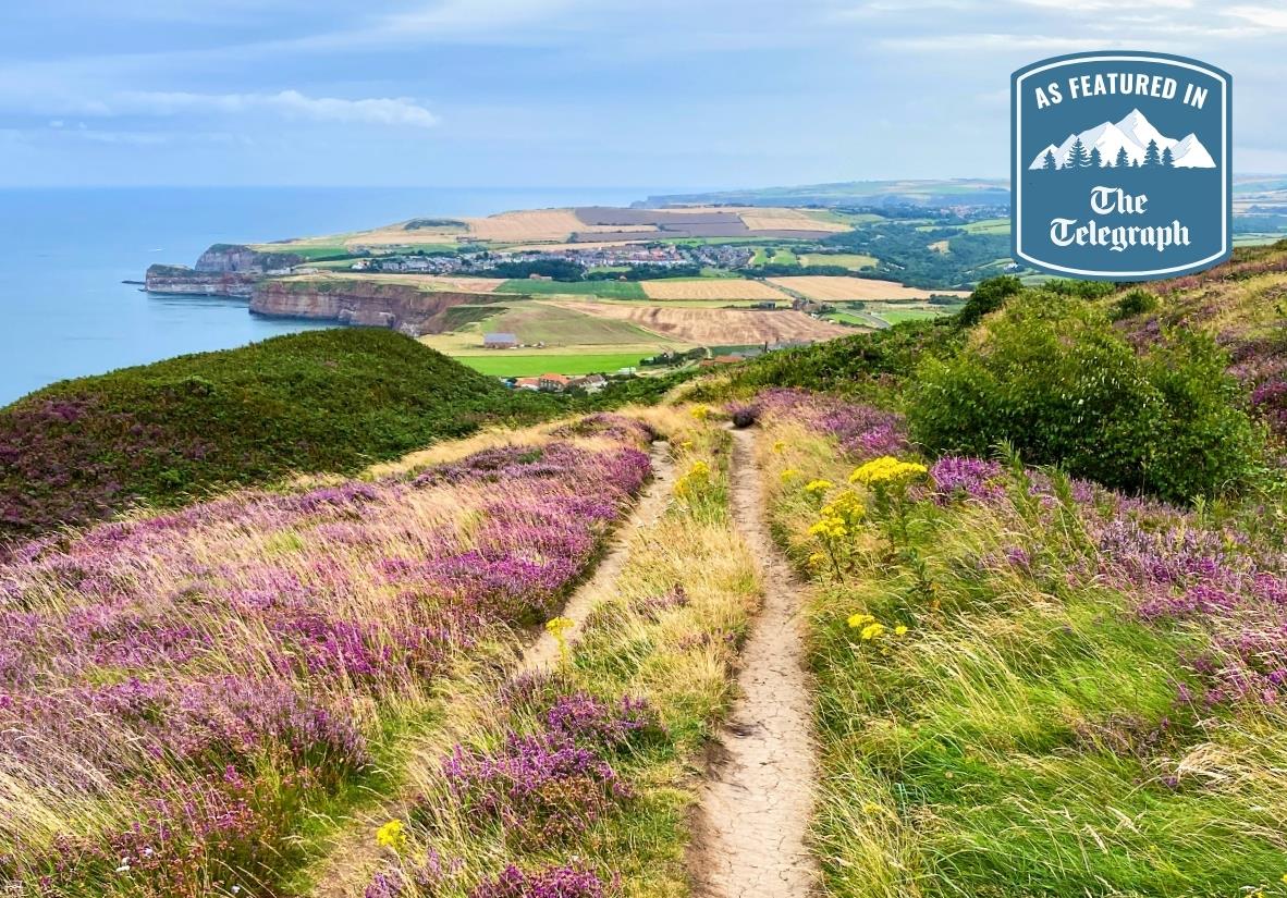 Will Hide from the Telegraph walked with Macs