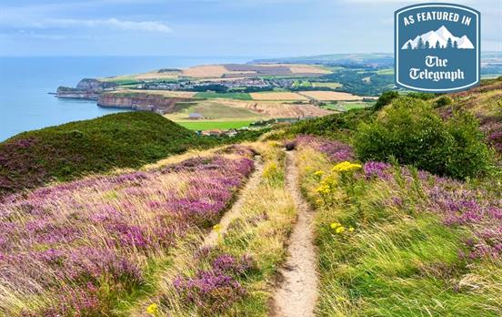 Will Hide from the Telegraph walked with Macs