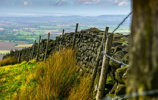 Stone walls of the English countryside