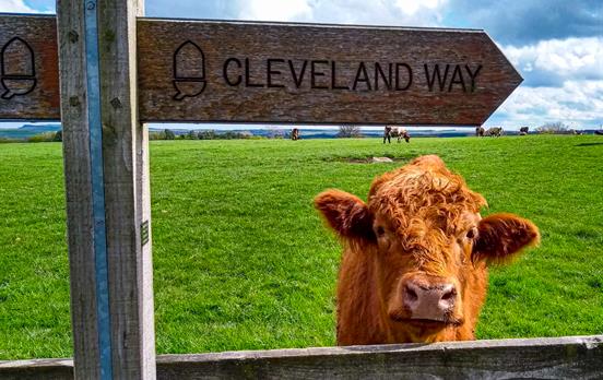 Meet the locals along the way