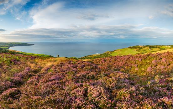 Walk a section of England's east coast