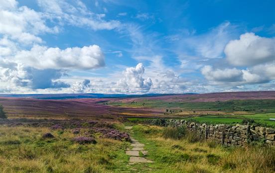 Heather clad moors