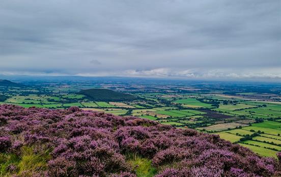 Heather clad moors
