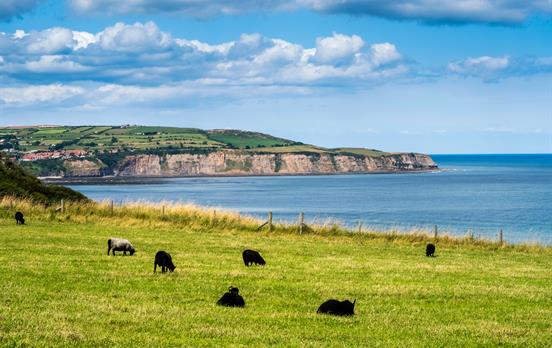 Far-reaching coastal views
