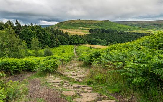 Walk through the North York Moors national park