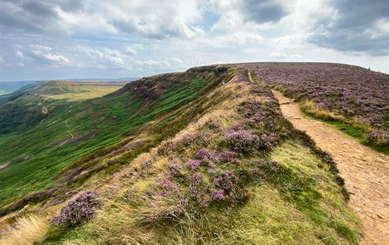 Heather clad moors on the Cleveland Way