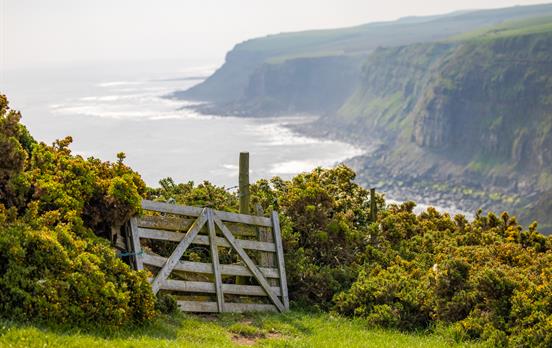 Amazing cliff top views of the east coast