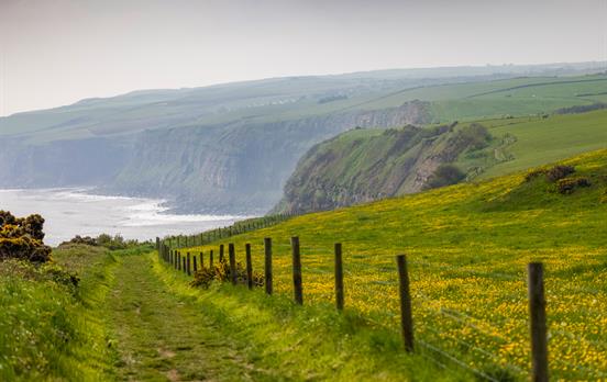Amazing cliff top views of the east coast