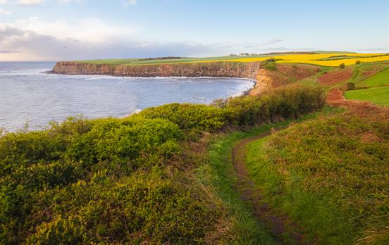 Walk along the east coast of England
