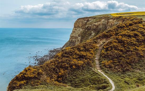 Winding path on the coast